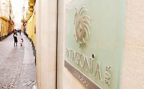 Hotel Apartamentos Patagonia Sur